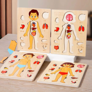 Kids Wooden Montessori Toys Human Body Organs Puzzle