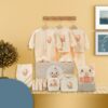 Infant and Newborn Garment Gift Box Set